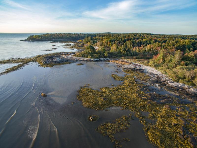 Federal government donates 1 million toward Clark Island protection, a
